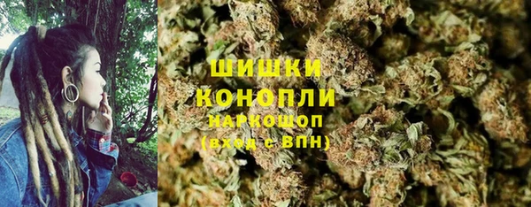 ГАЛЛЮЦИНОГЕННЫЕ ГРИБЫ Бронницы