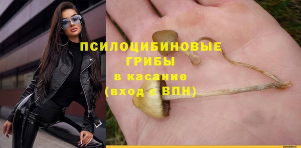 ГАЛЛЮЦИНОГЕННЫЕ ГРИБЫ Бронницы